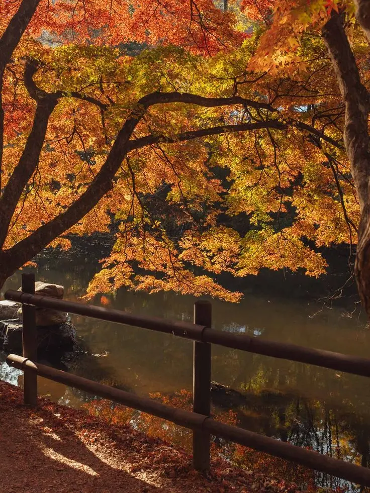 Cocky_의 낙원대 t8 *