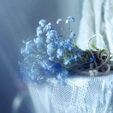 Profile image of 파이브