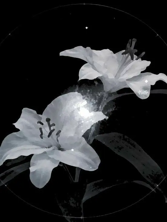 Nak.oxn의 백도은