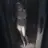 소현