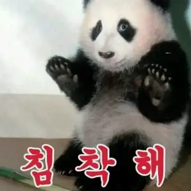 Profile image of 판다