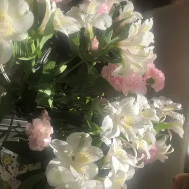 Profile image of 정형준