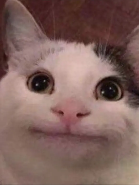 BouncyLose2926의 귀칼주들과 파자마+늑대