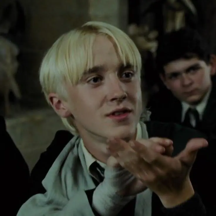 Zibzibzib2345의 𝐃raco 𝐌alfoy