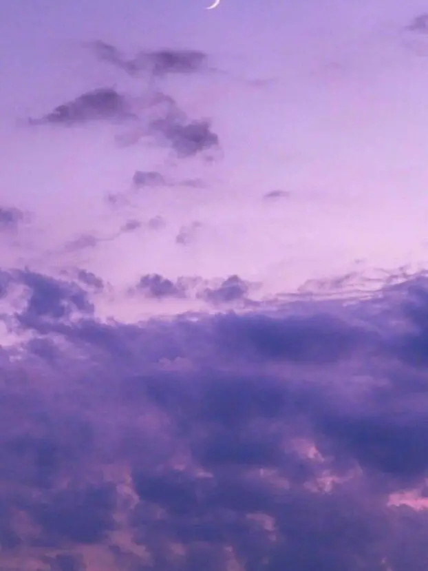 PurpleClay7418의 警察官の兄