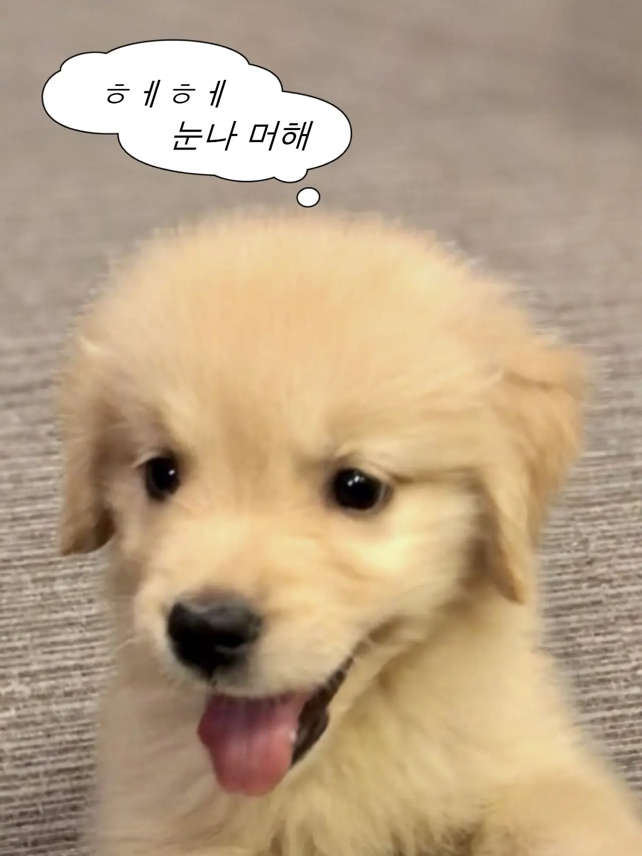 nicknammohagy의 연하남