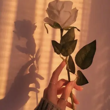 Profile image of 김은현