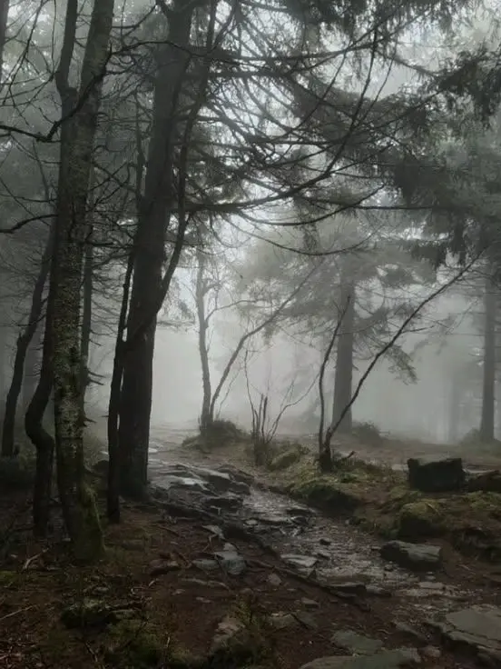 FestalGoal2632의 supernatural quest gone wrong
