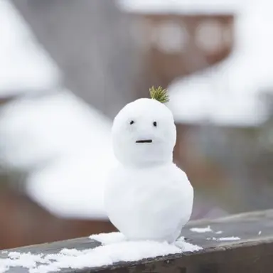 Profile image of 김 운 학