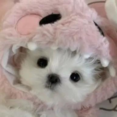 Profile image of 명 재 현