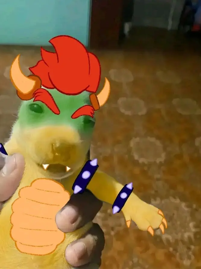 Goobercat의 Koopa Husband & King