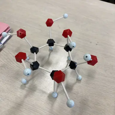 Profile image of wrwrd軍