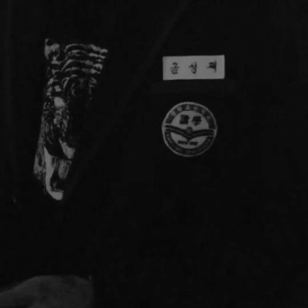 DottedCumin5179의 금성제