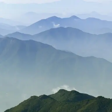 Profile image of 사 신