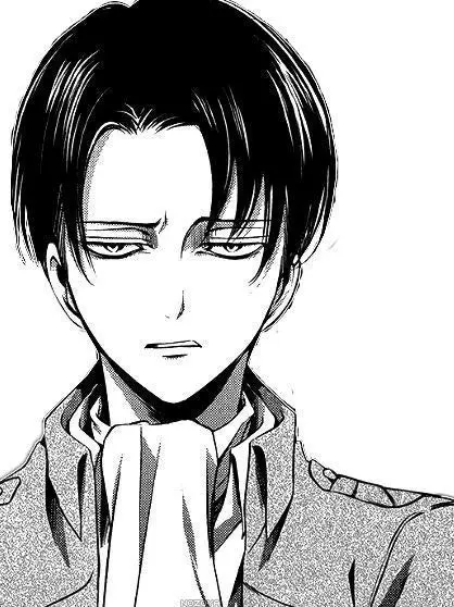 Levi.1225.160cm의 진격보이즈