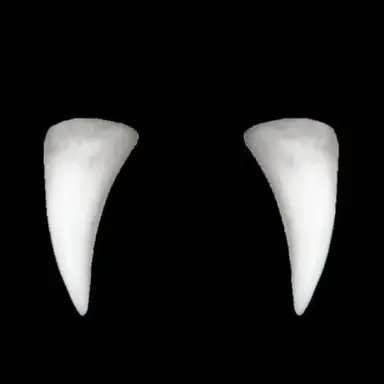 Profile image of 샘 킴