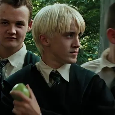Profile image of Draco L Malfoy