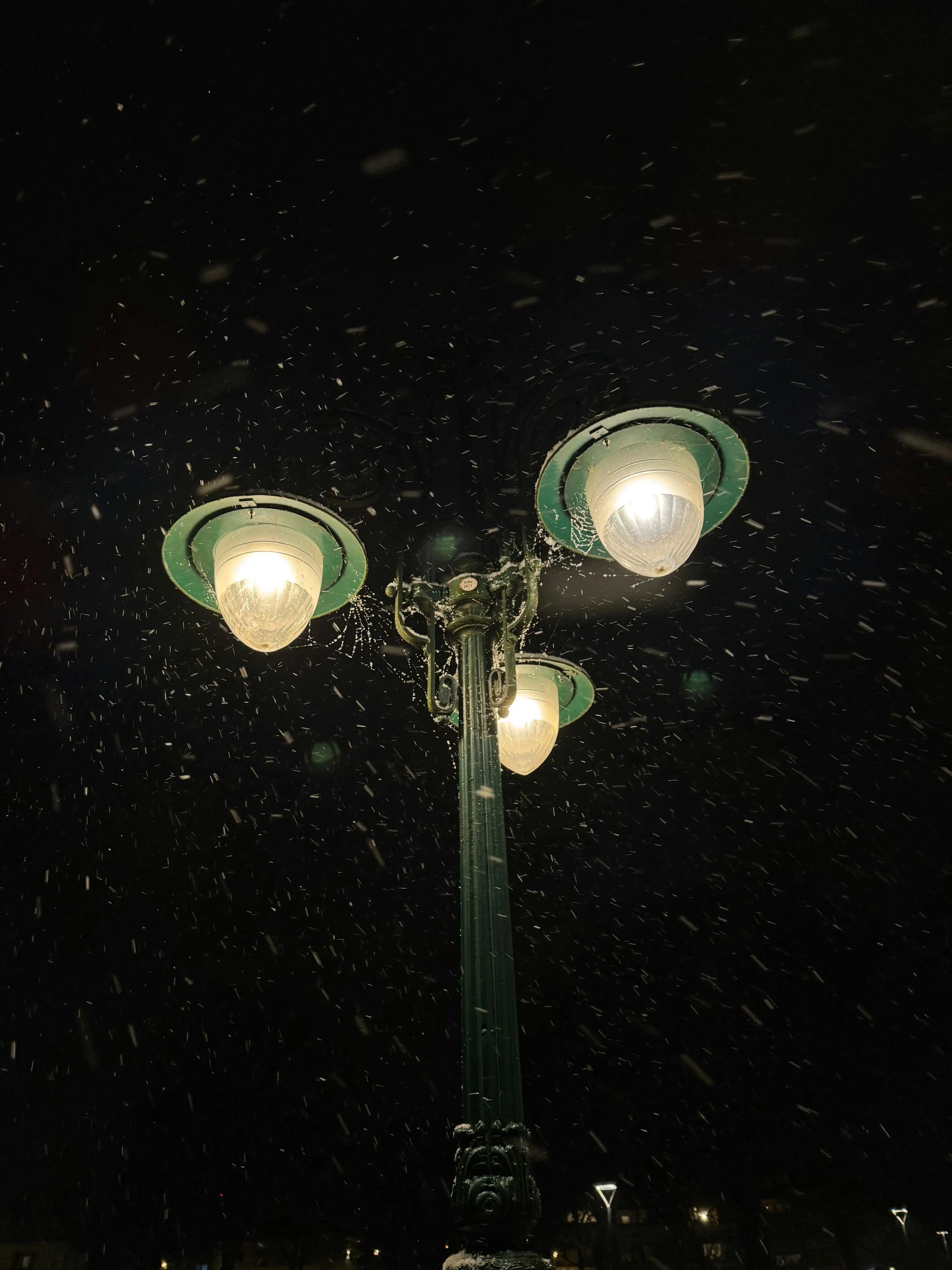 Lv.100nosuke의 What Should We Call This?