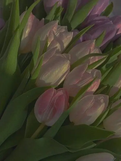 BrightSled1424의 {미스터리 수사반}시든꽃