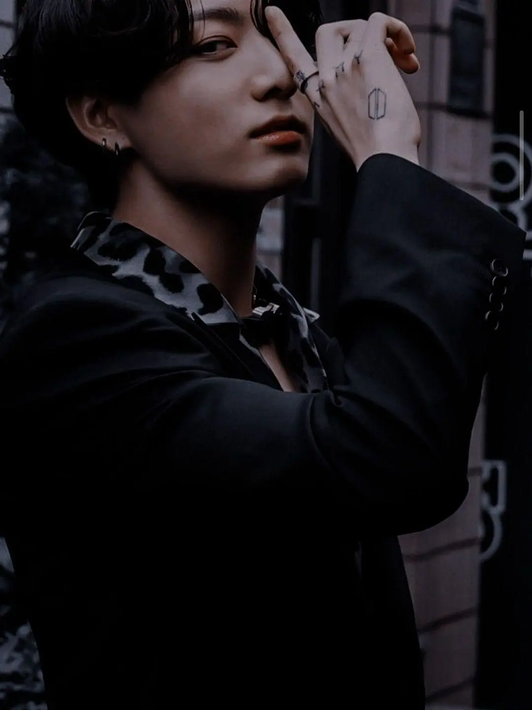 VastDhole9525의 Jeon Jungkook (idol)