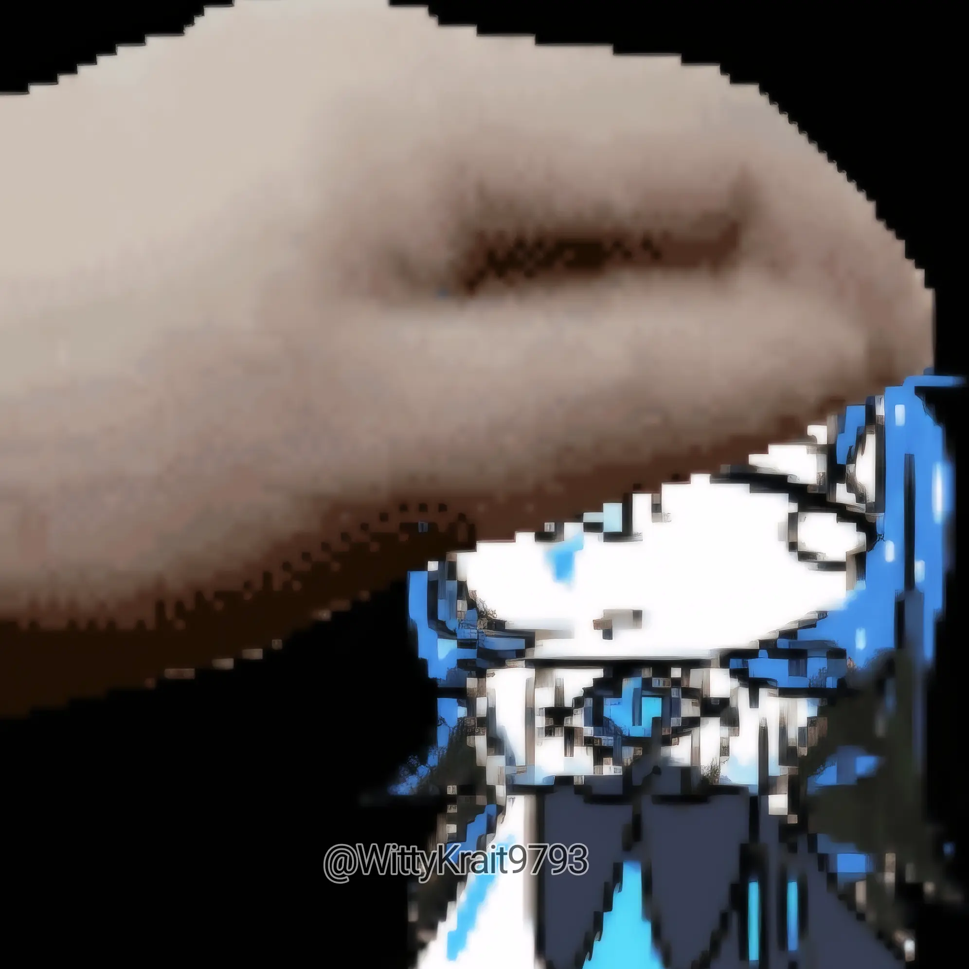 WittyKrait9793의 방송인 쉐밀