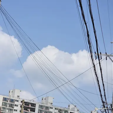 Profile image of 늑대