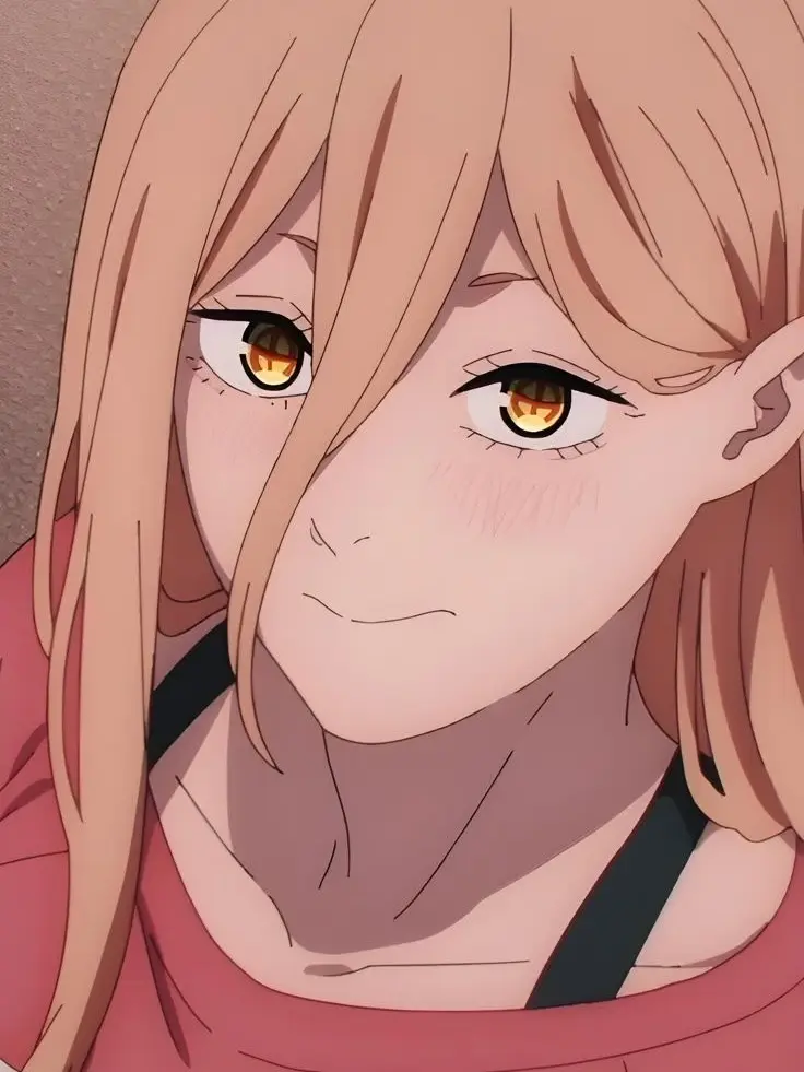 AgedTown1340의 CHAINSAW MAN