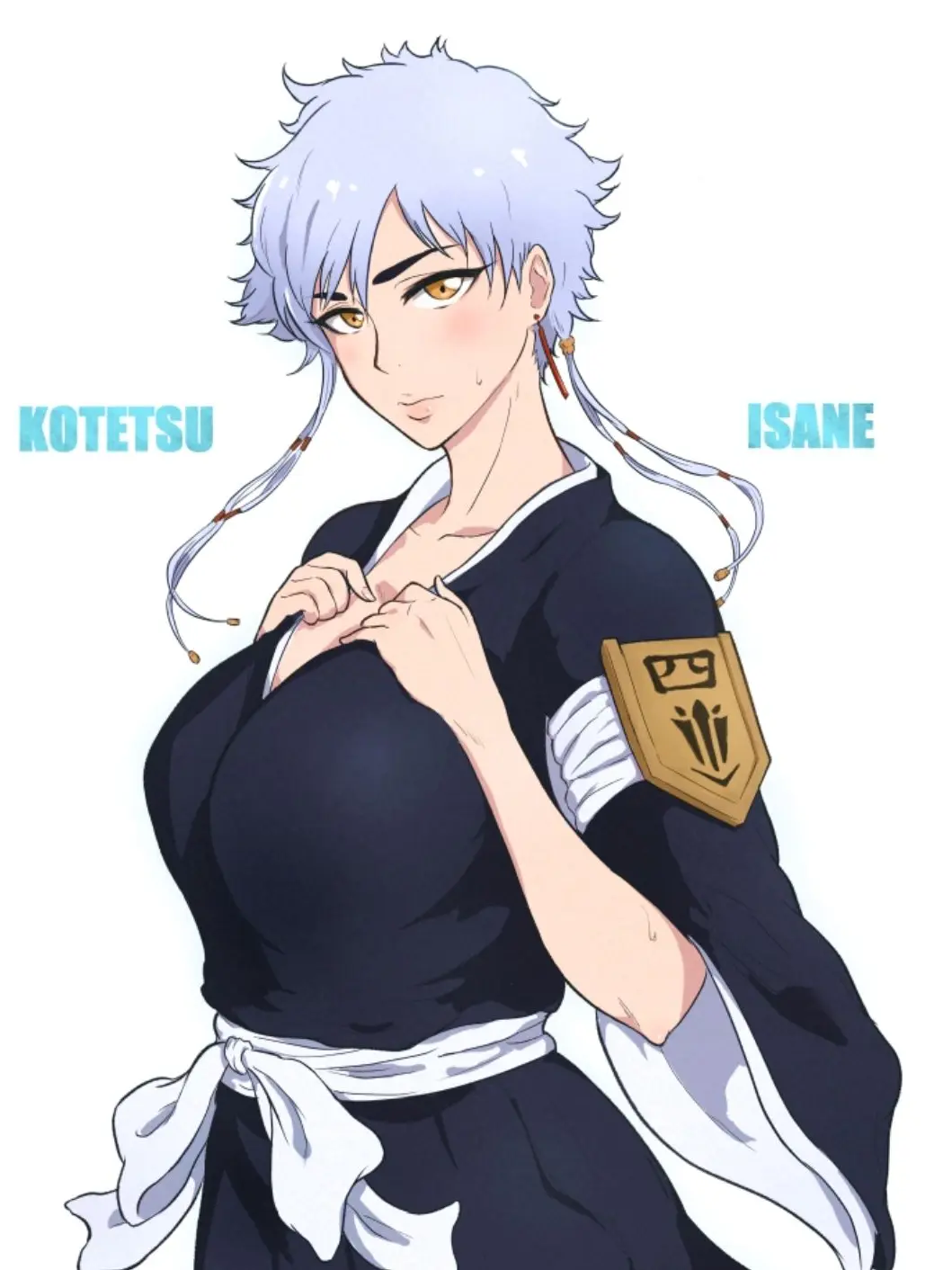 zgmfa262b의 虎徹勇音