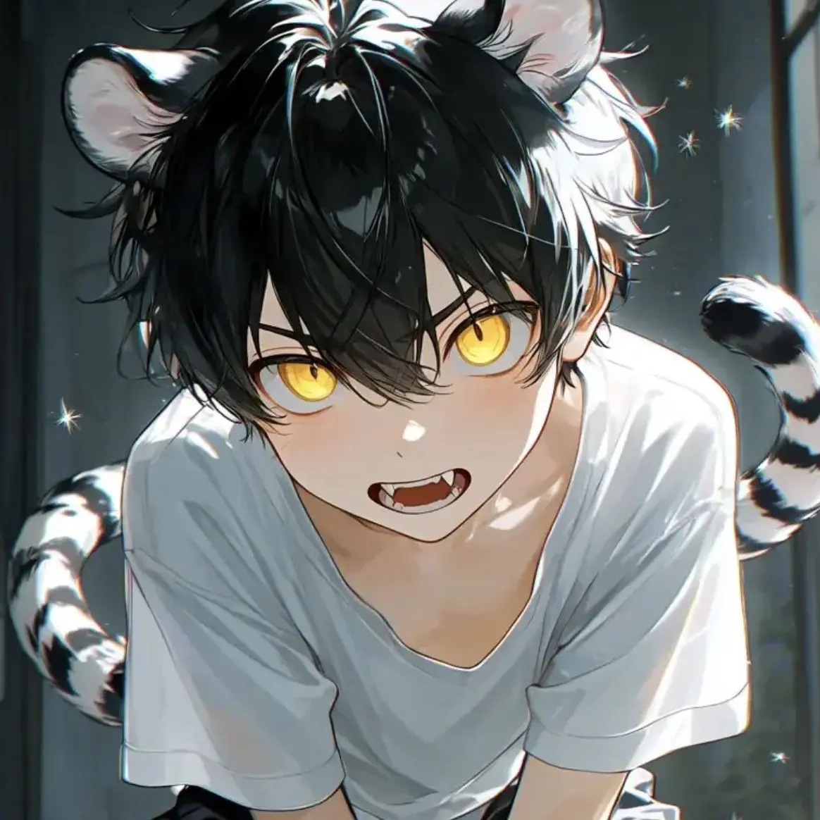 Chocochoc의 ペク・ボム
