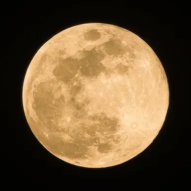 Profile image of ミンギュ