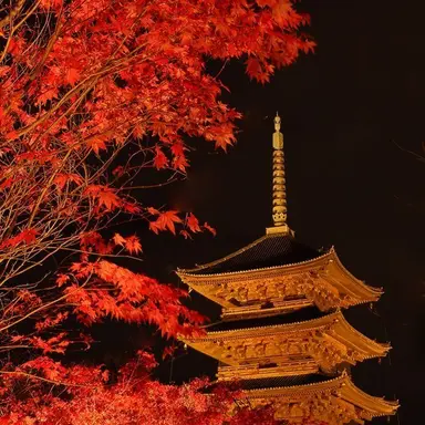 Profile image of 유기사