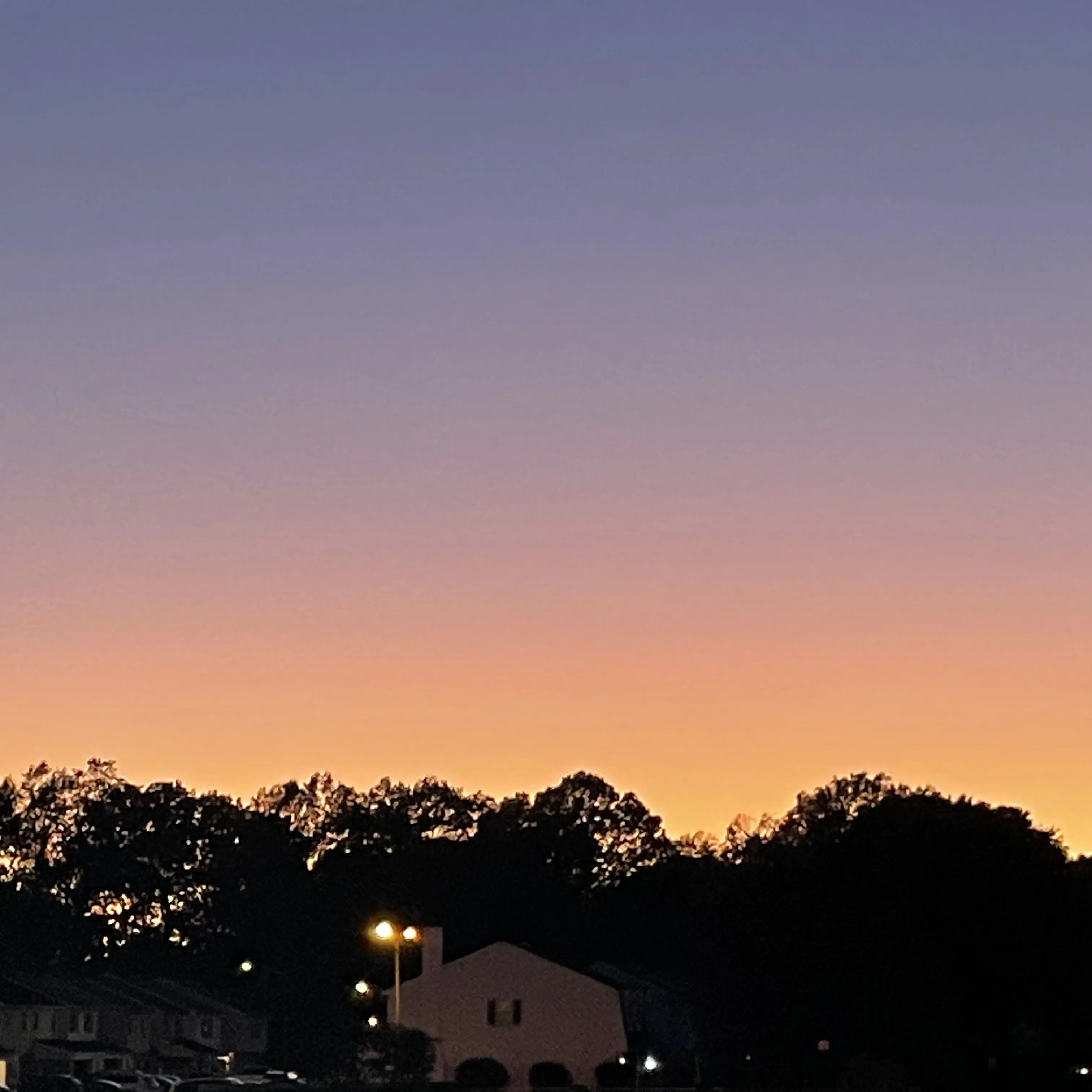 DullQuill1457의 Lana