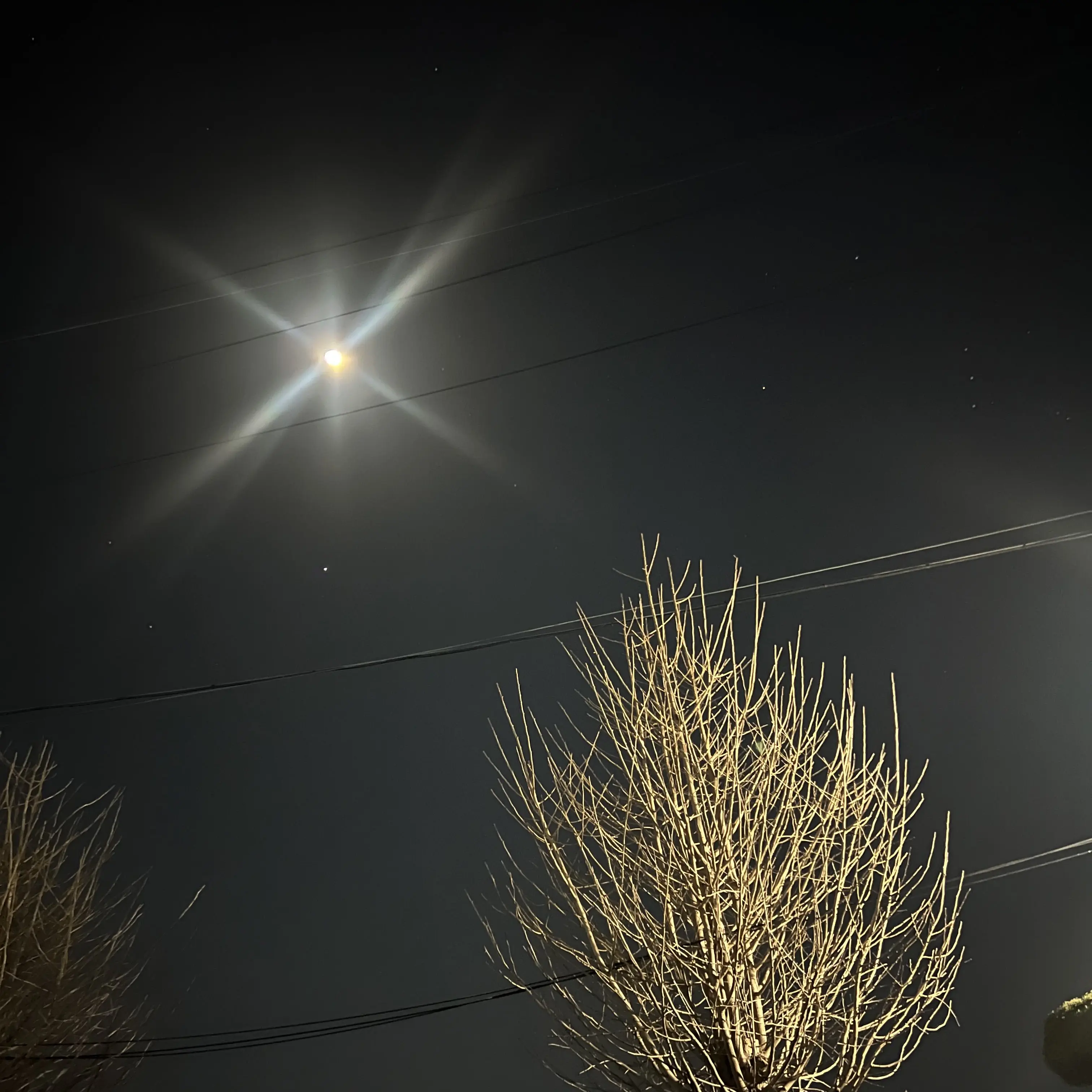 LovedRock7904의 발렌타인데이