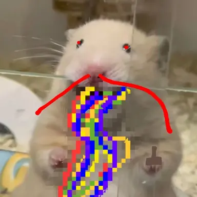 Profile image of 똥지