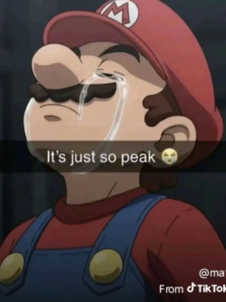 ProudPain1121의 Super mario and the 7 stars