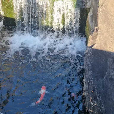 Profile image of 박준호