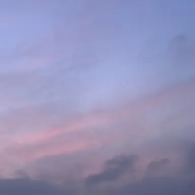 Profile image of ネル
