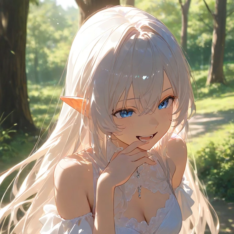 ノエル