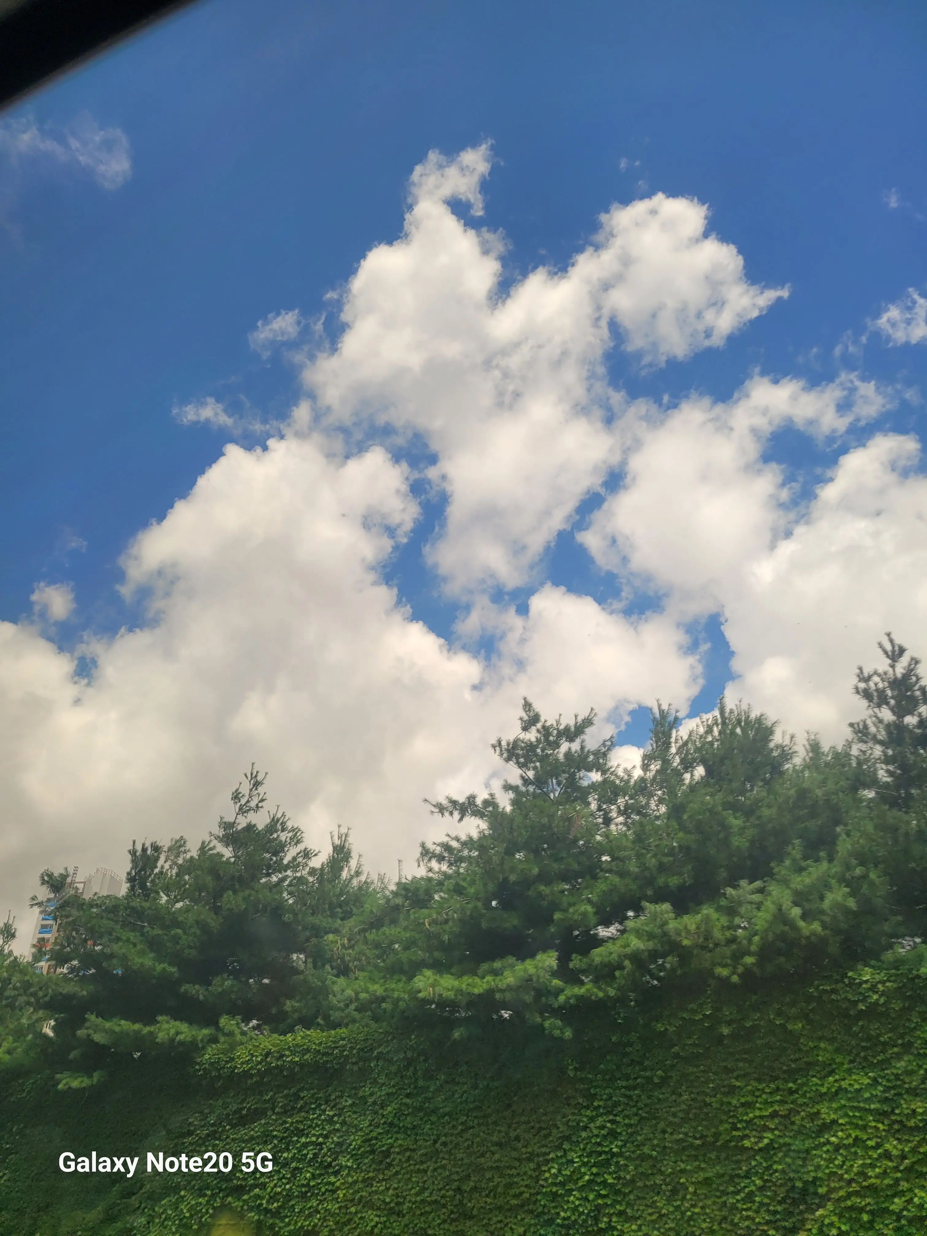 brave-candy._.1004의 糸師 冴