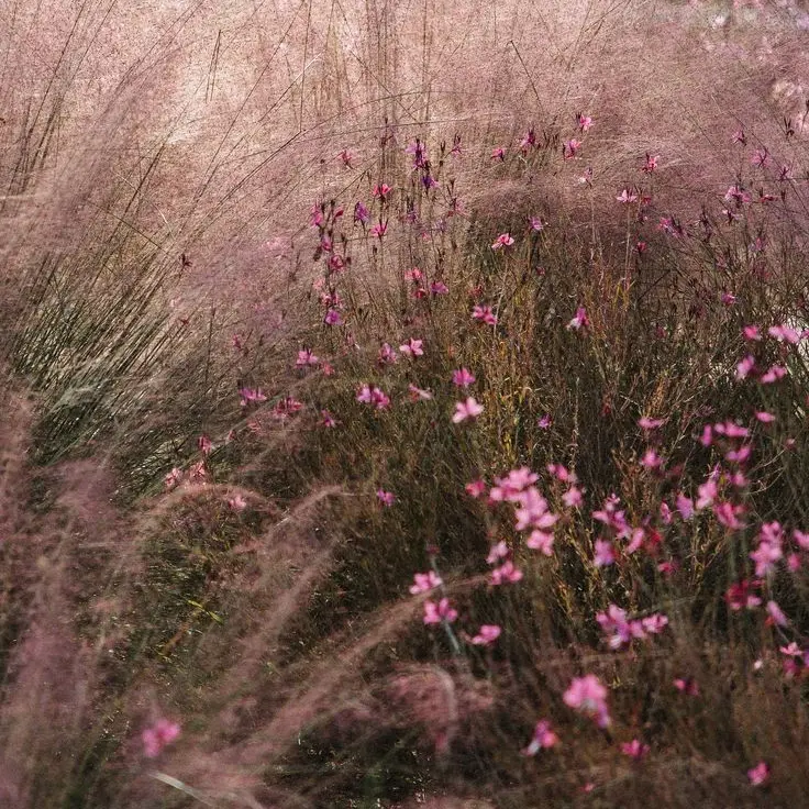 Tukasaki__의 セラフ