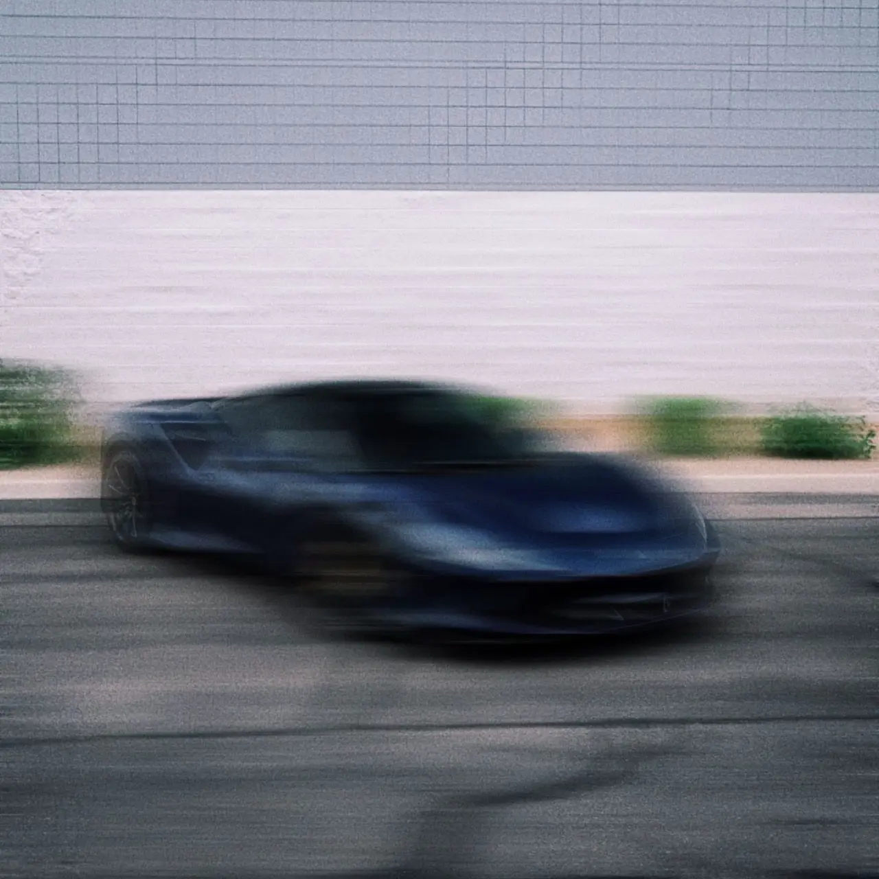 TrendyTree3743의 사랑도 살 수 있나요?