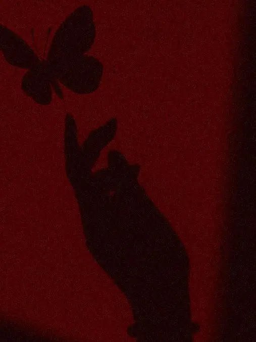 mylovehptgrm의 1215