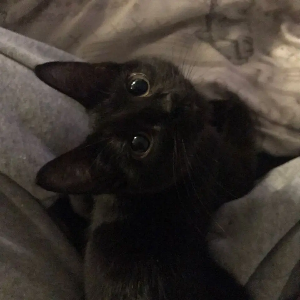 OrangeAlarm7628의 .