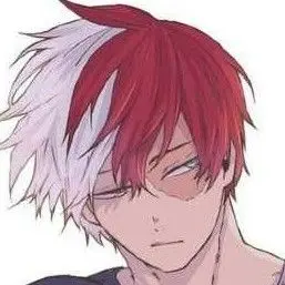 Profile image of Todoroki