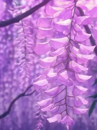 _ku.o073의 무이치로와 선별시험