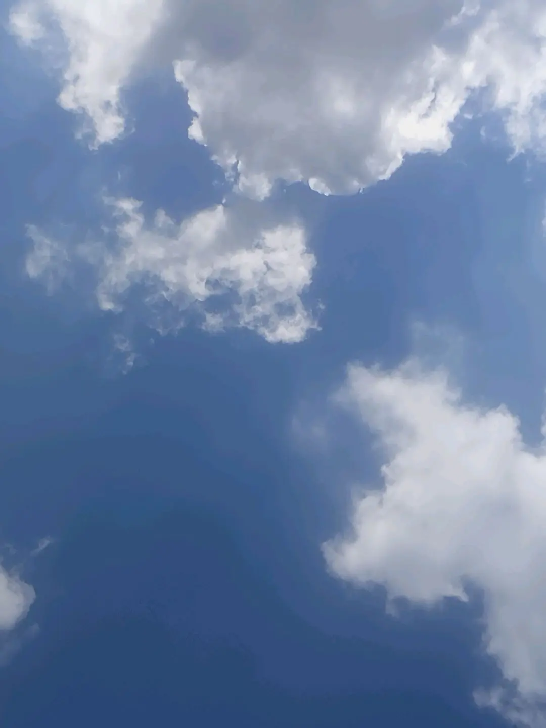 FoggyPain2474의 대학교에서 만난 첫사랑