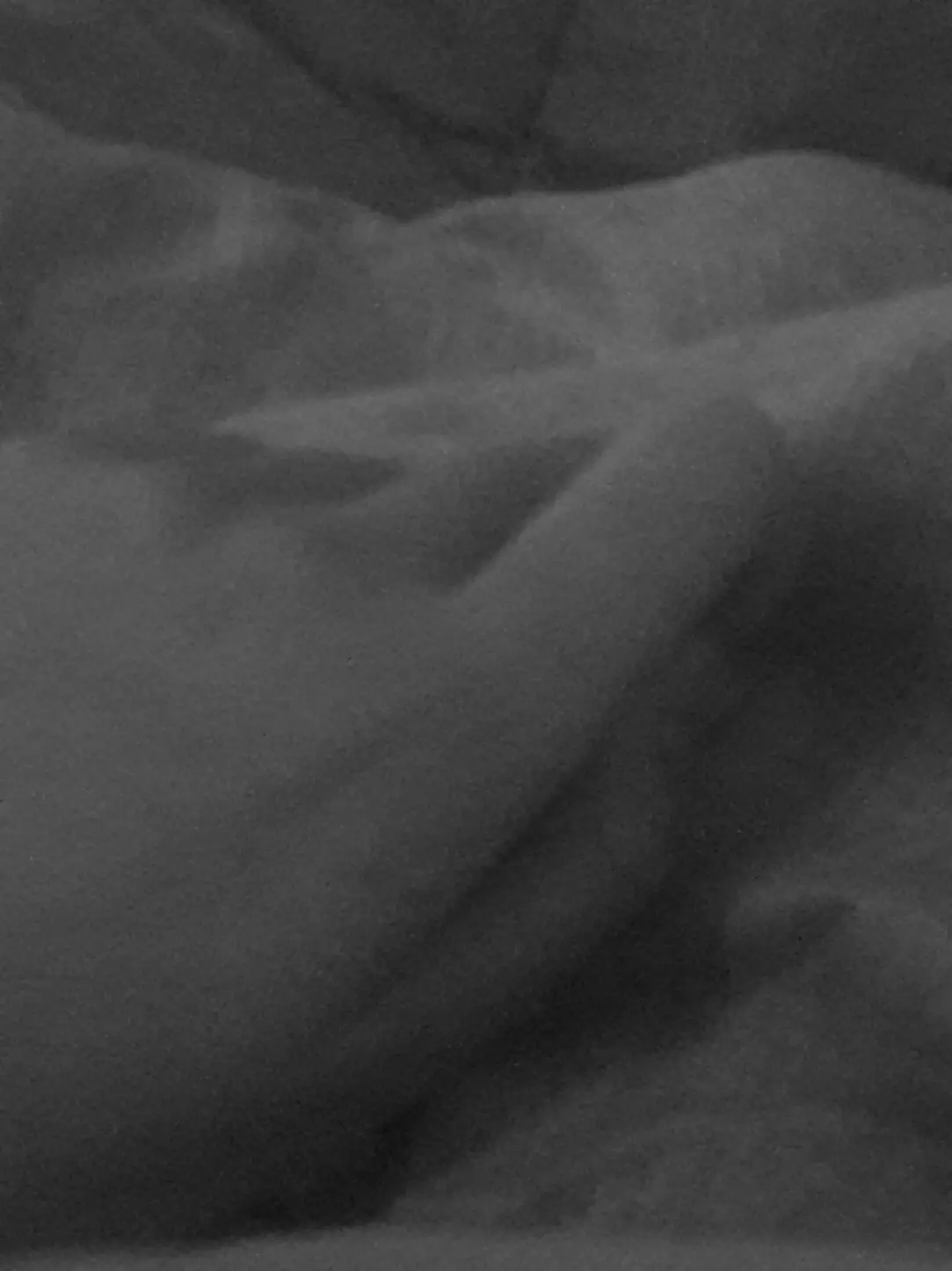 BaNillabread의 플래그