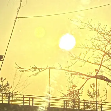 Profile image of 제여타