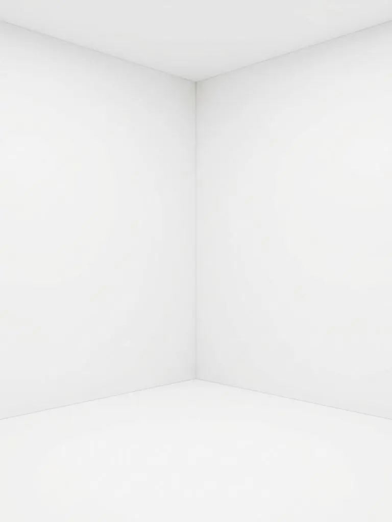 Bisyosu의 白い部屋
