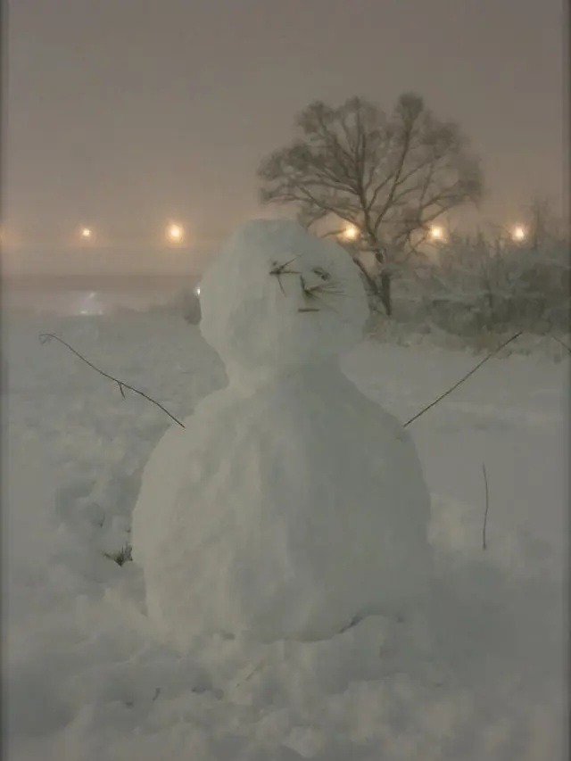 LiveVoice3279의 i am SnowMan!!!!